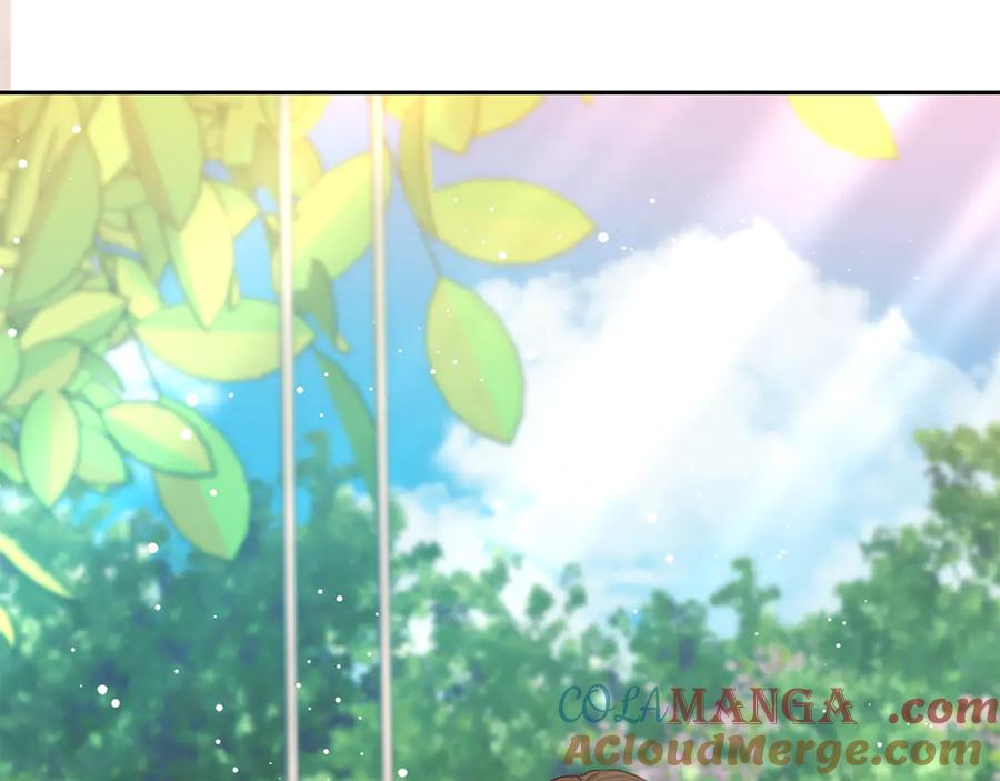 第205页