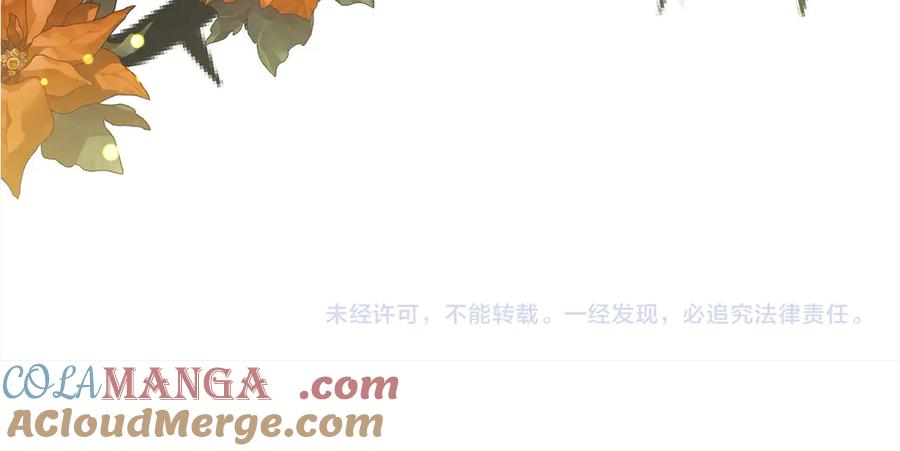第217页