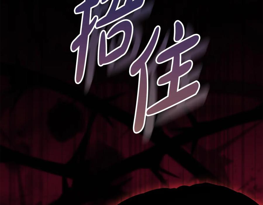 第215页