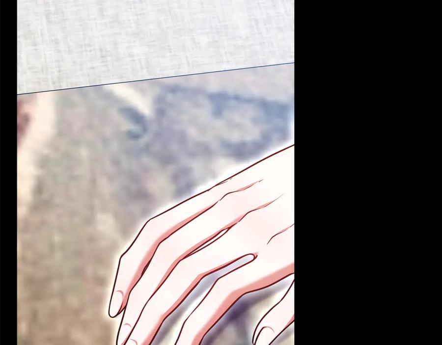 第223页