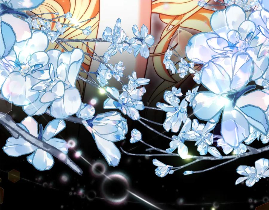 第244页