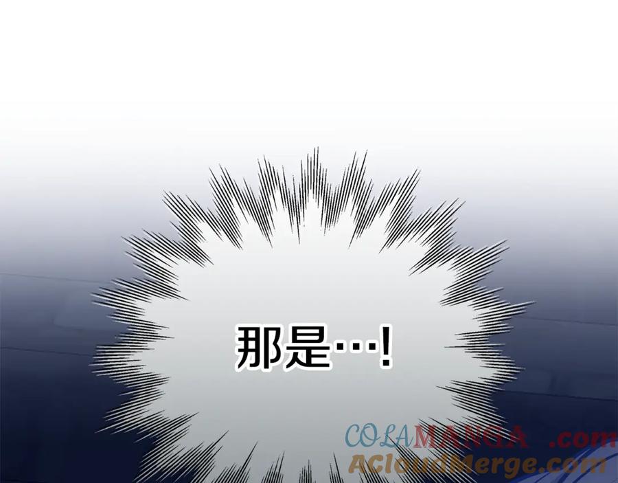 第241页