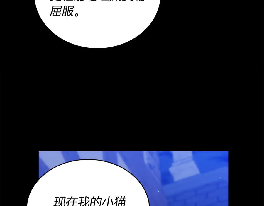 第251页