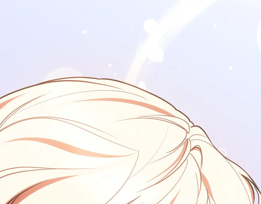 第246页