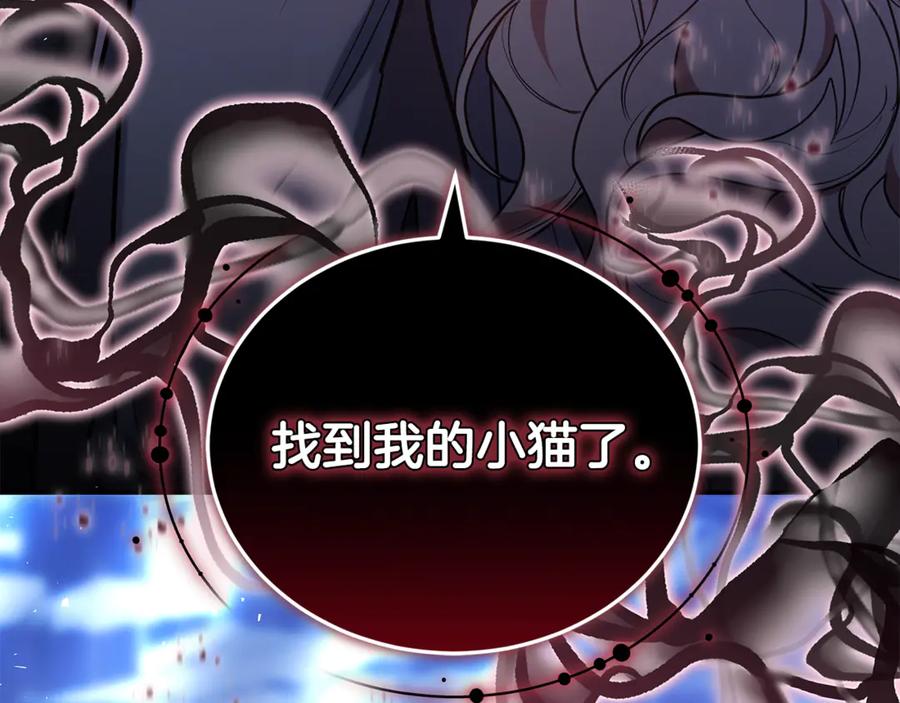 第236页