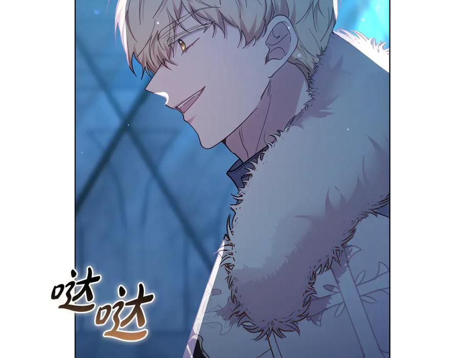 第228页