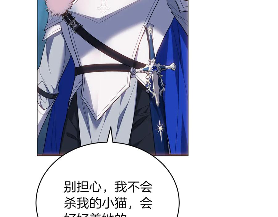 第251页