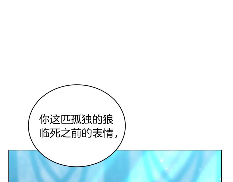 第255页