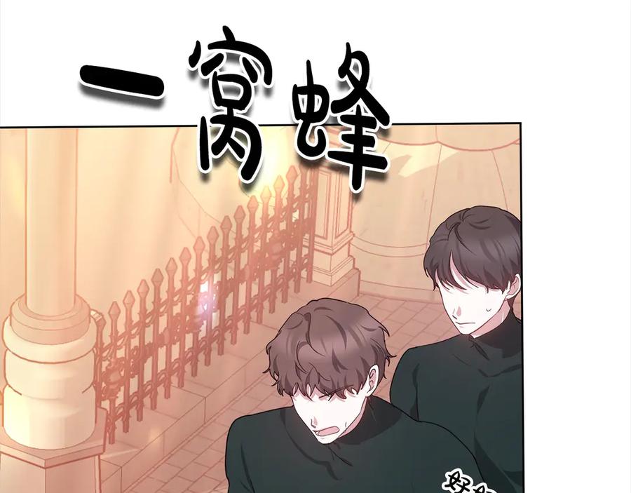 第204页