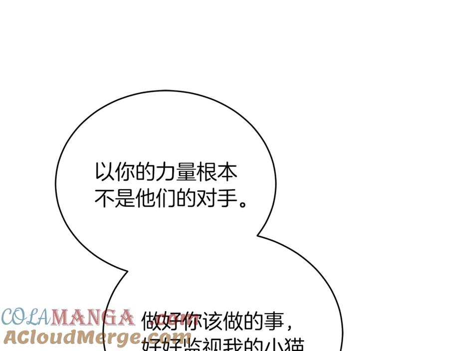 第241页