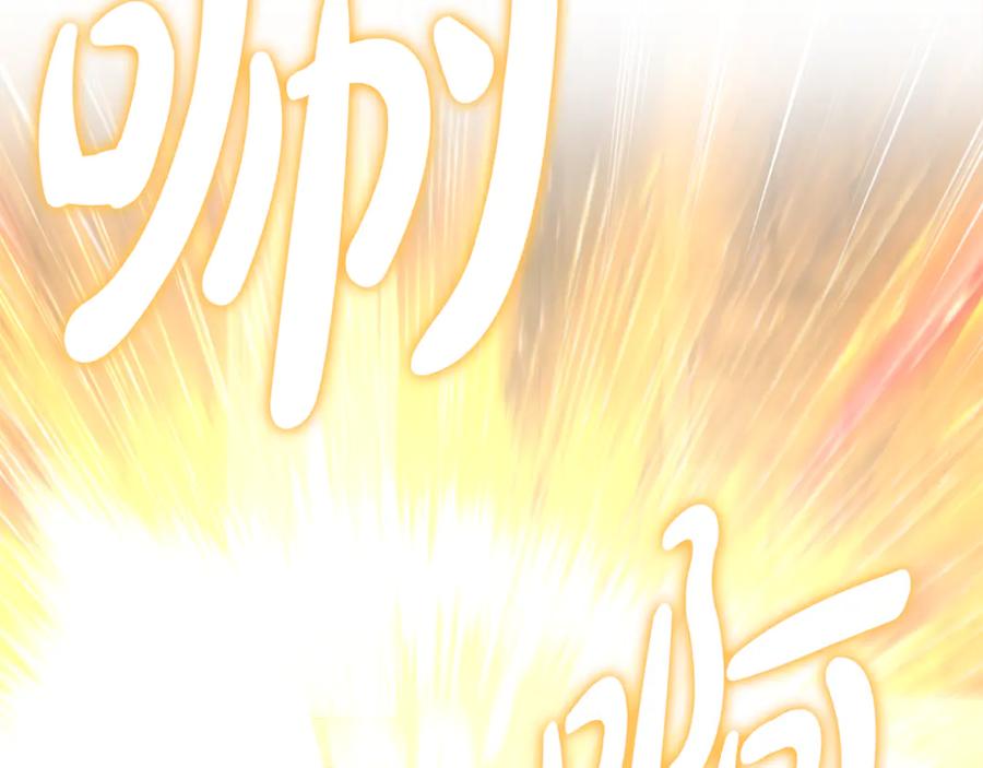 第223页