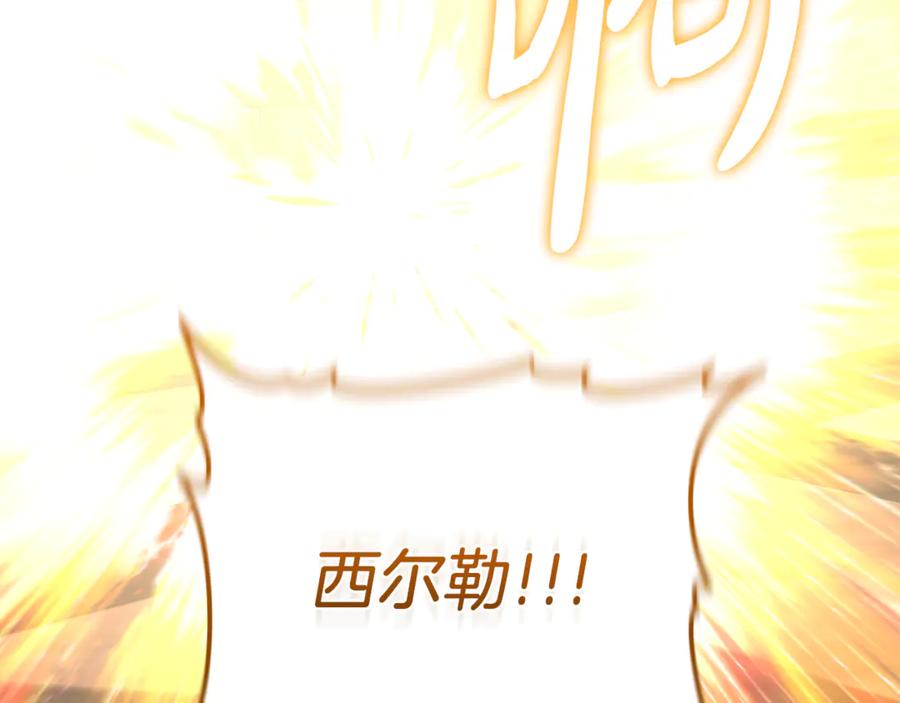 第224页