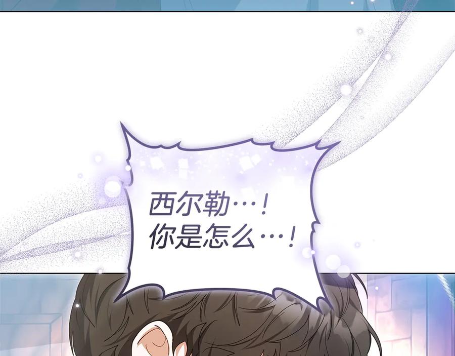 第203页