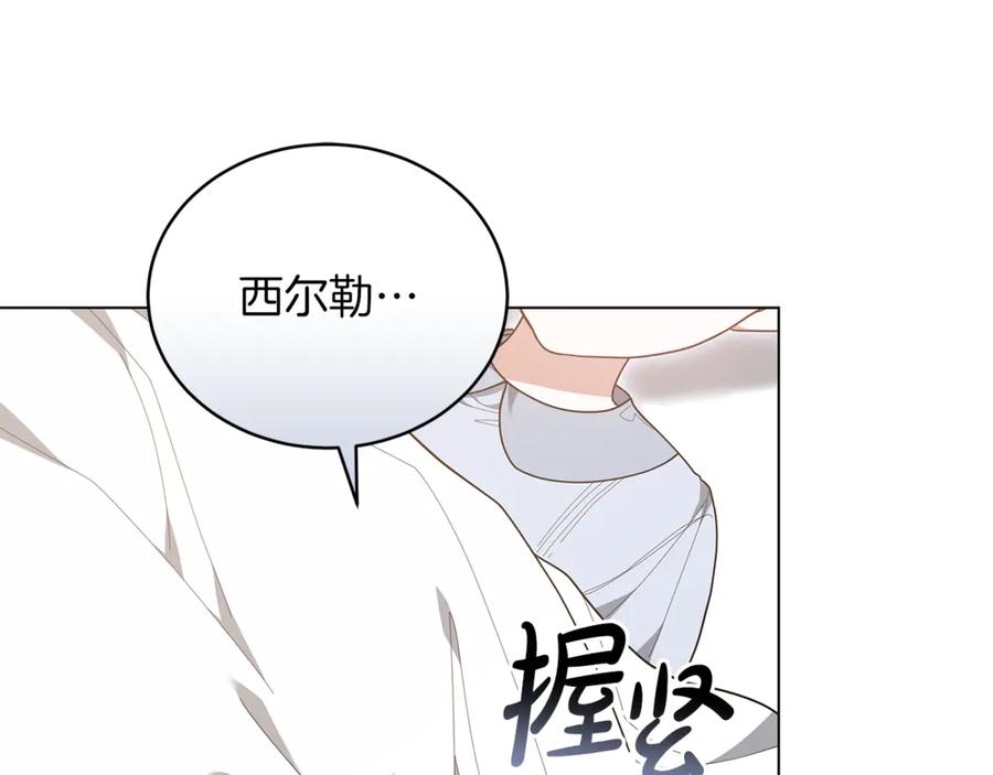 第251页