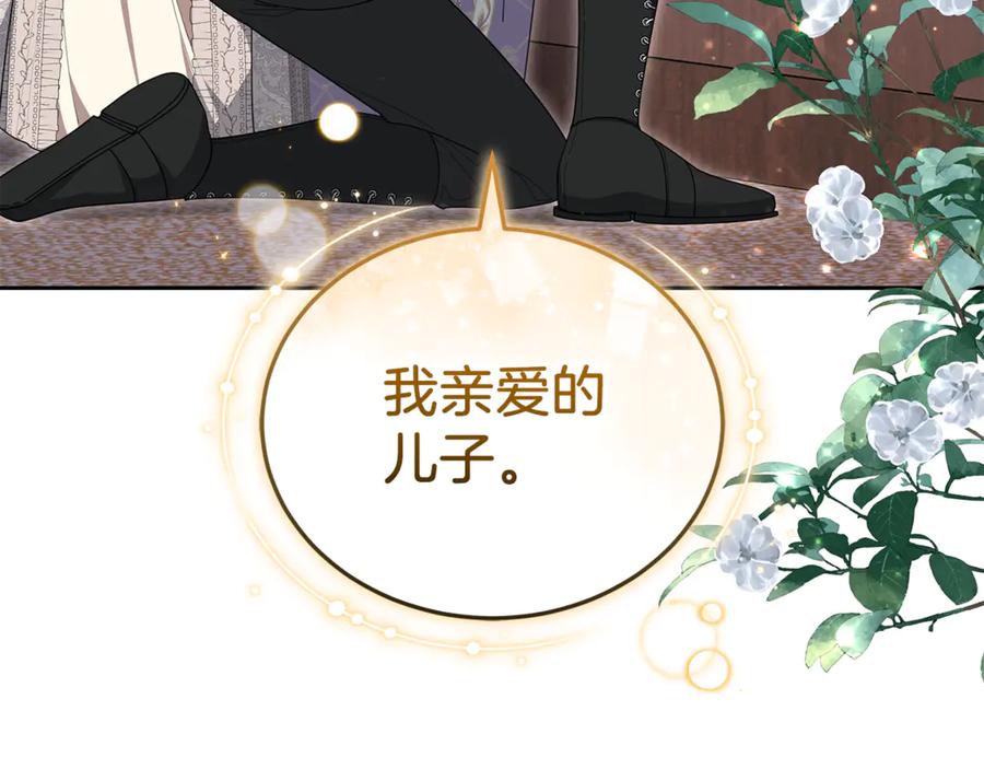 第223页