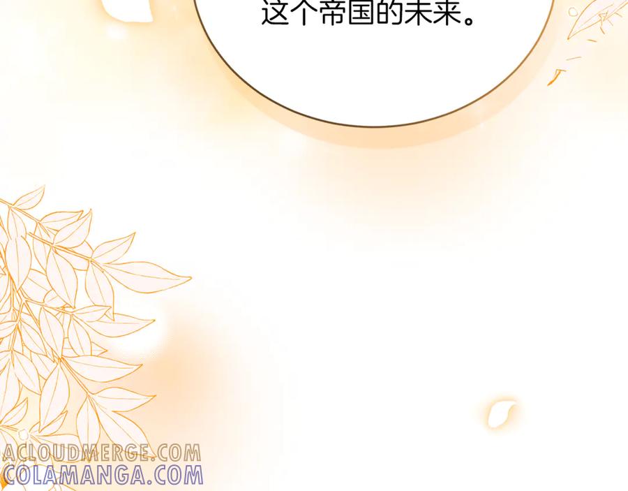 第241页