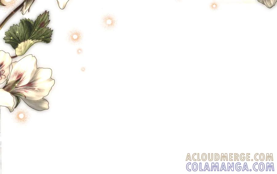 第245页