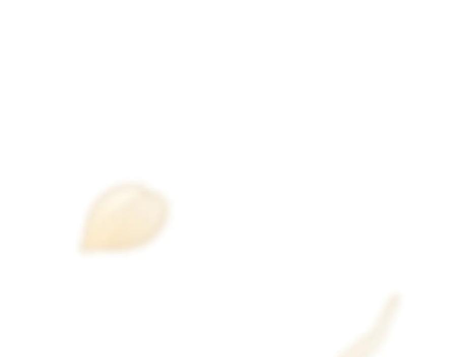 第264页