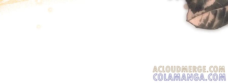 第233页