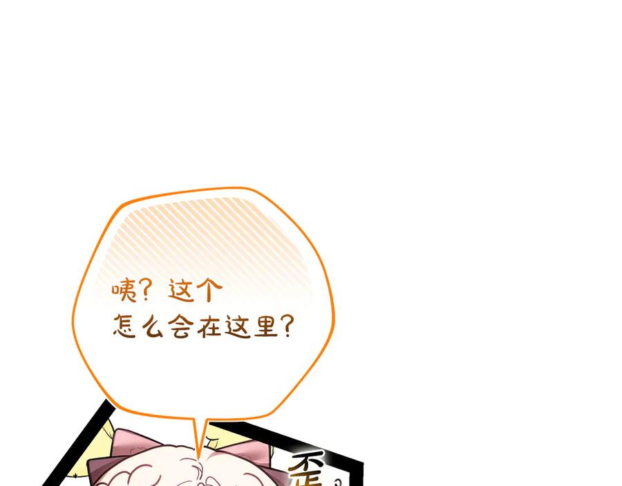 第224页