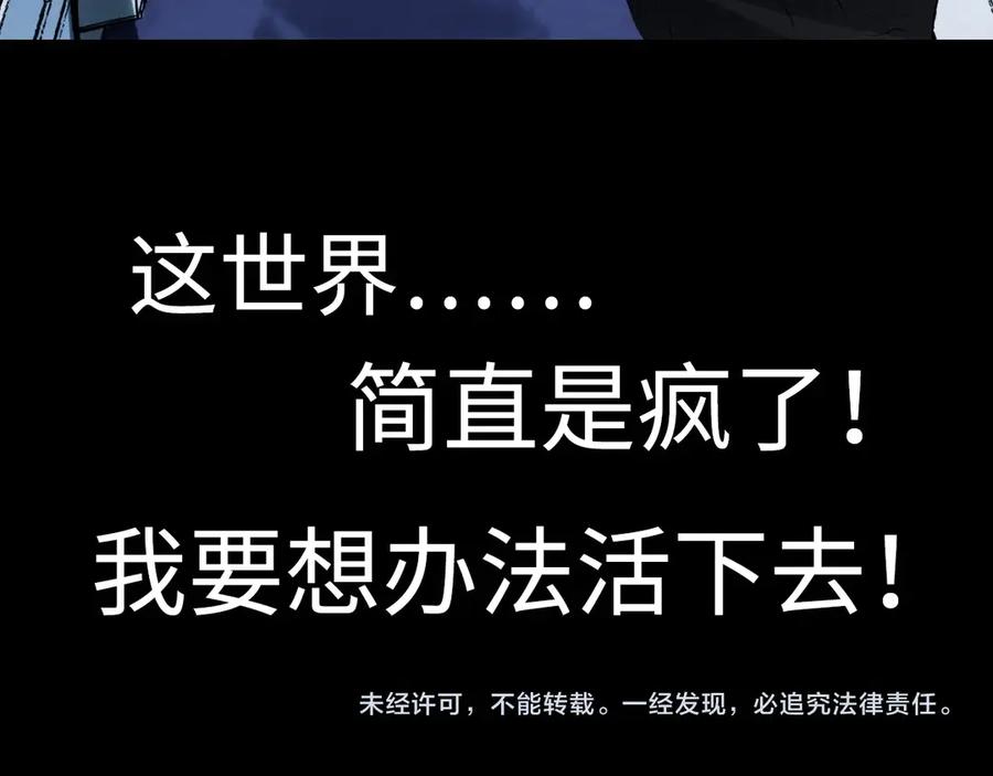 第231页
