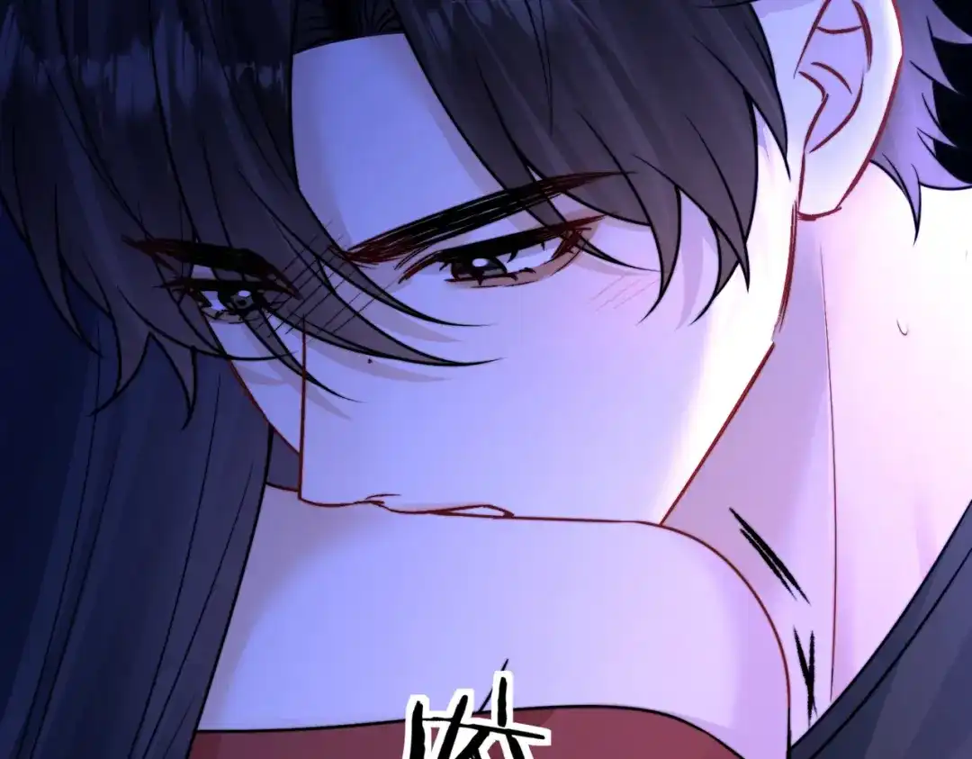 第204页