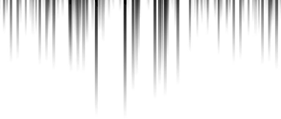 第223页