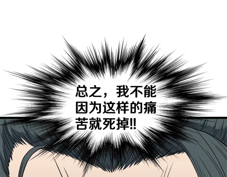 第278页