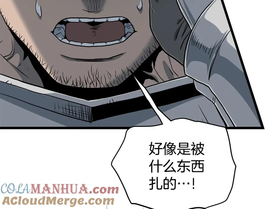 第233页