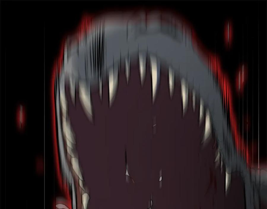 第246页