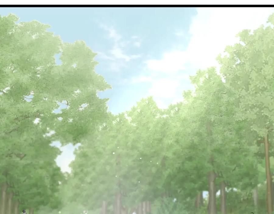 第247页
