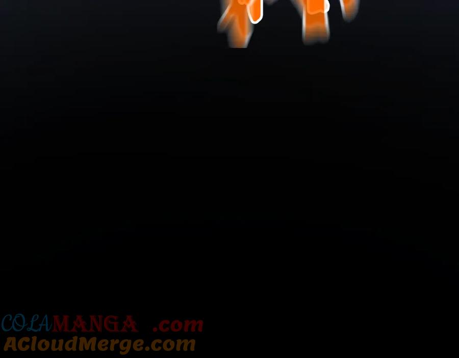 第241页
