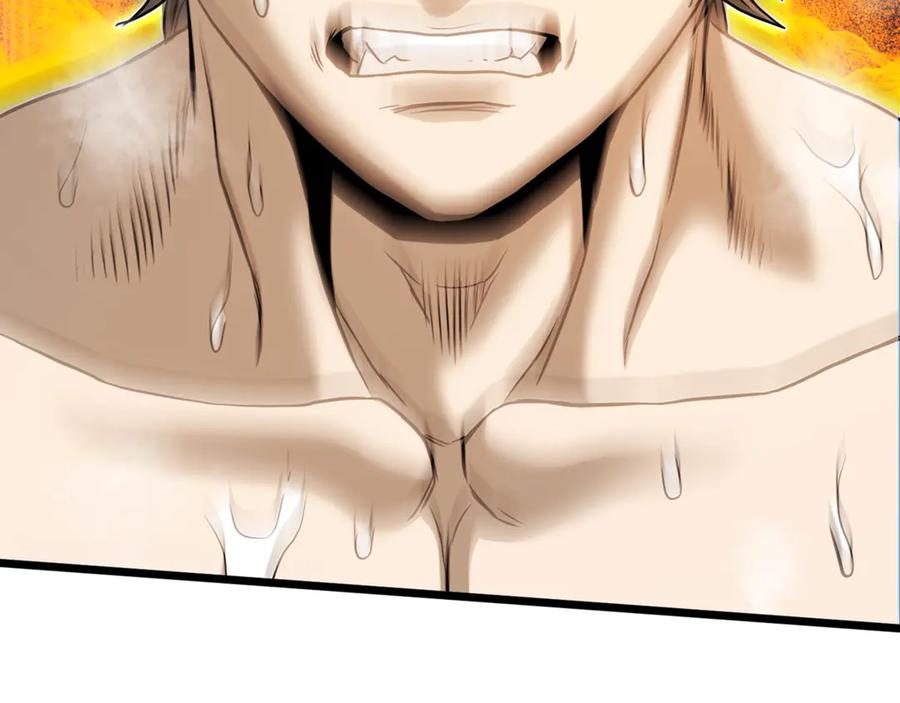 第223页