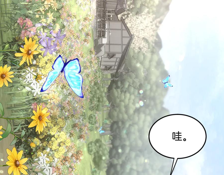 第291页