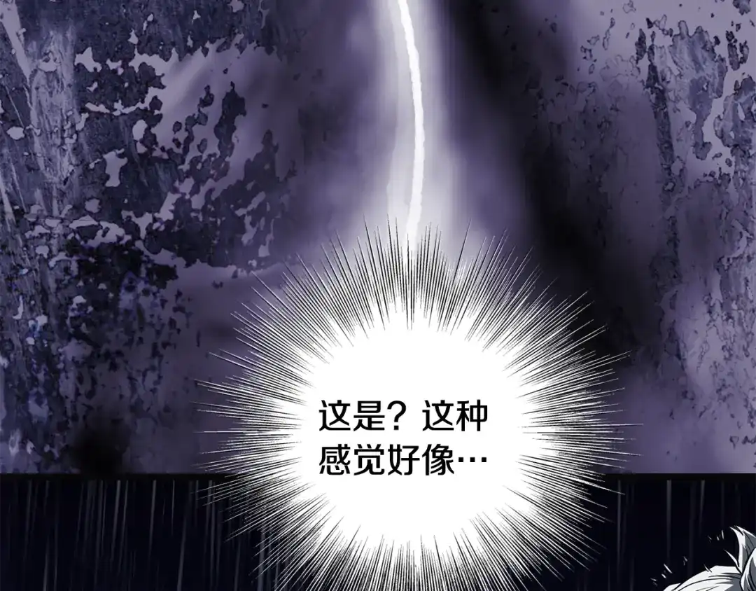 第241页
