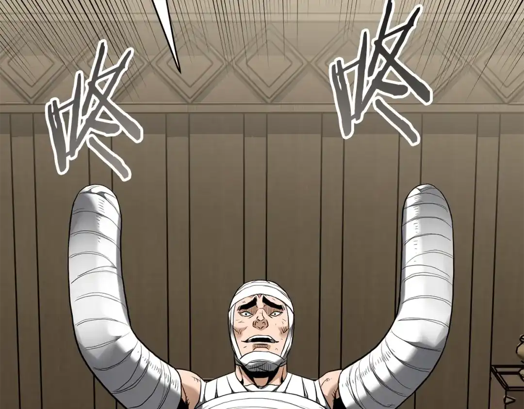 第213页