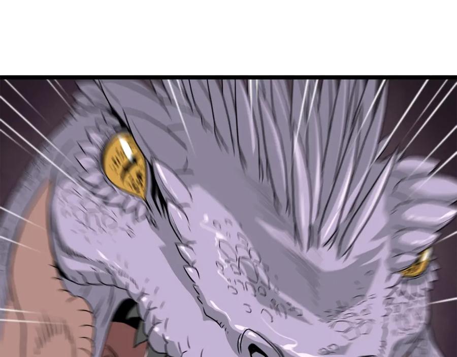第208页