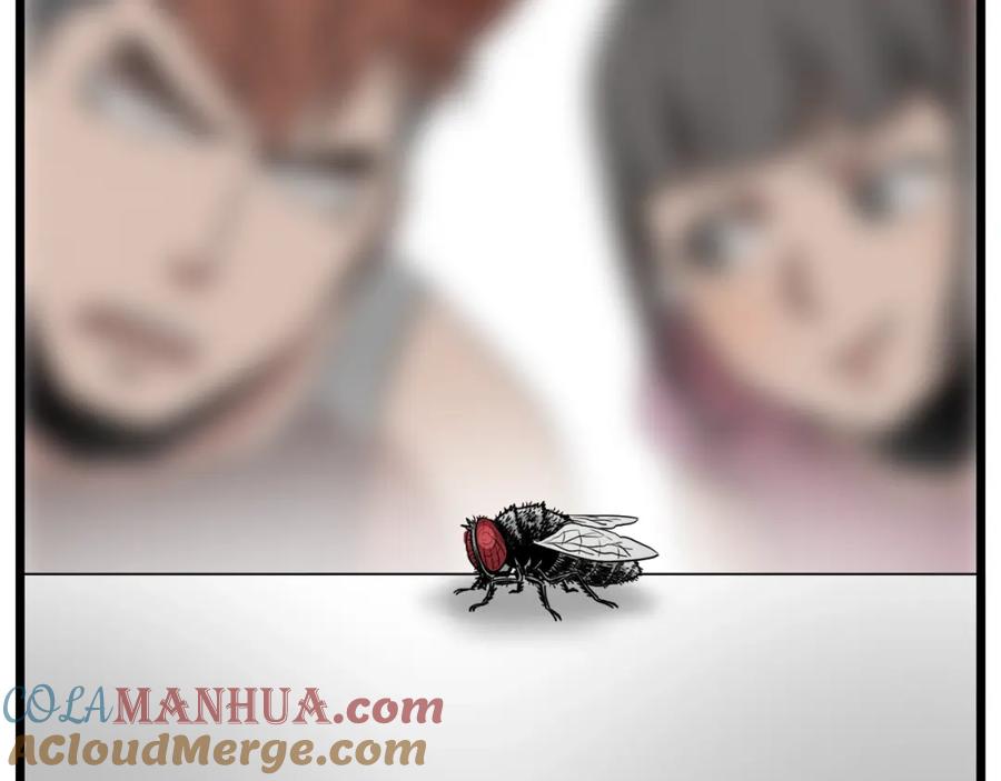 第221页