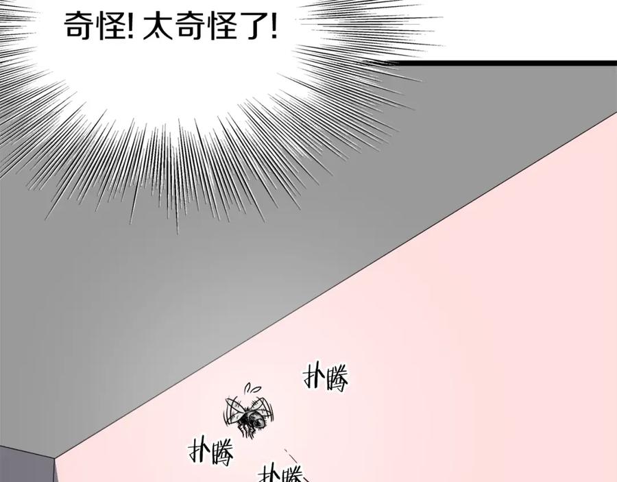 第234页
