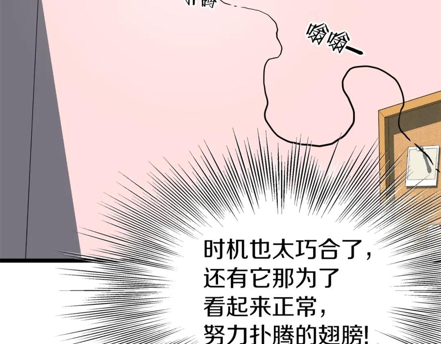 第235页