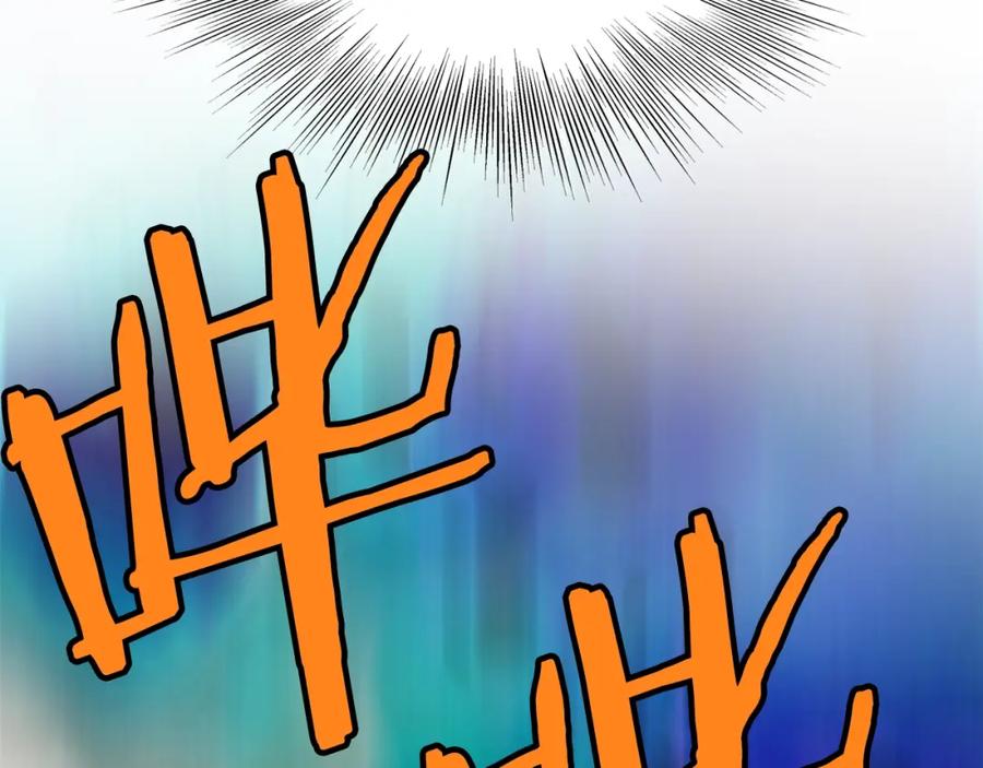 第242页