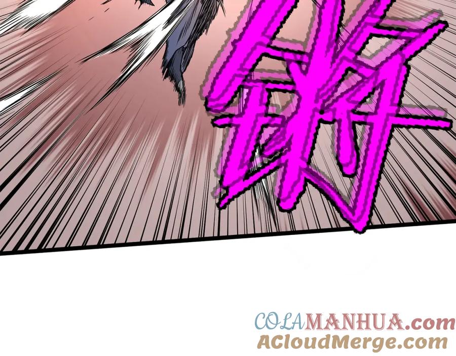 第205页