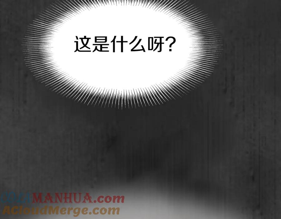 第217页