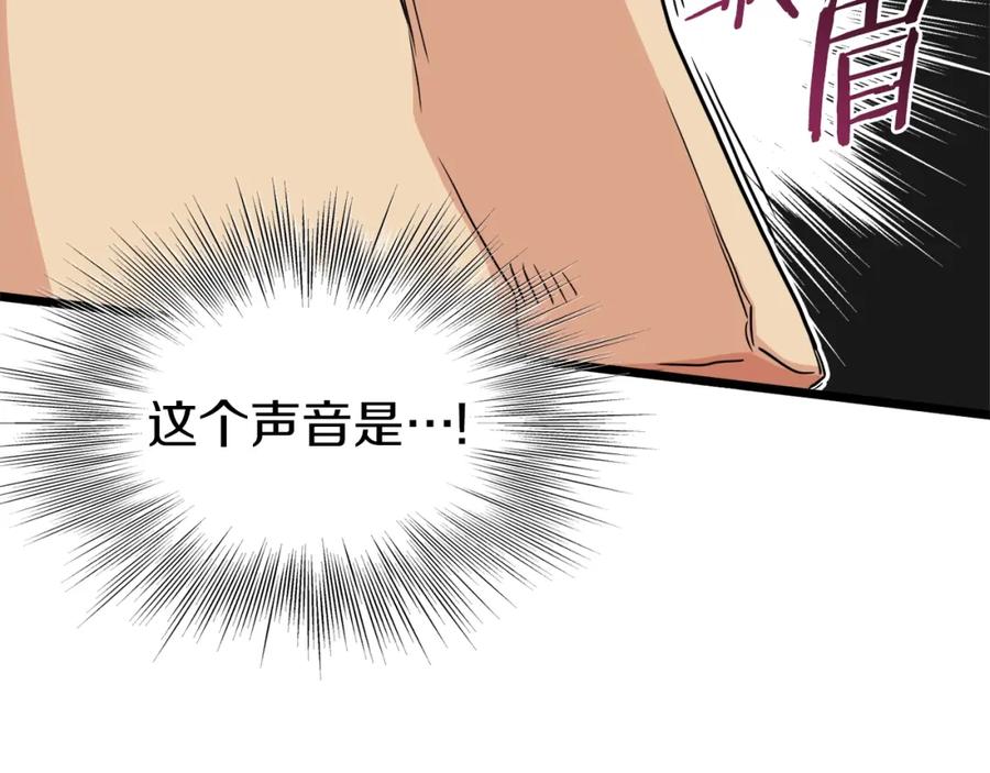 第215页