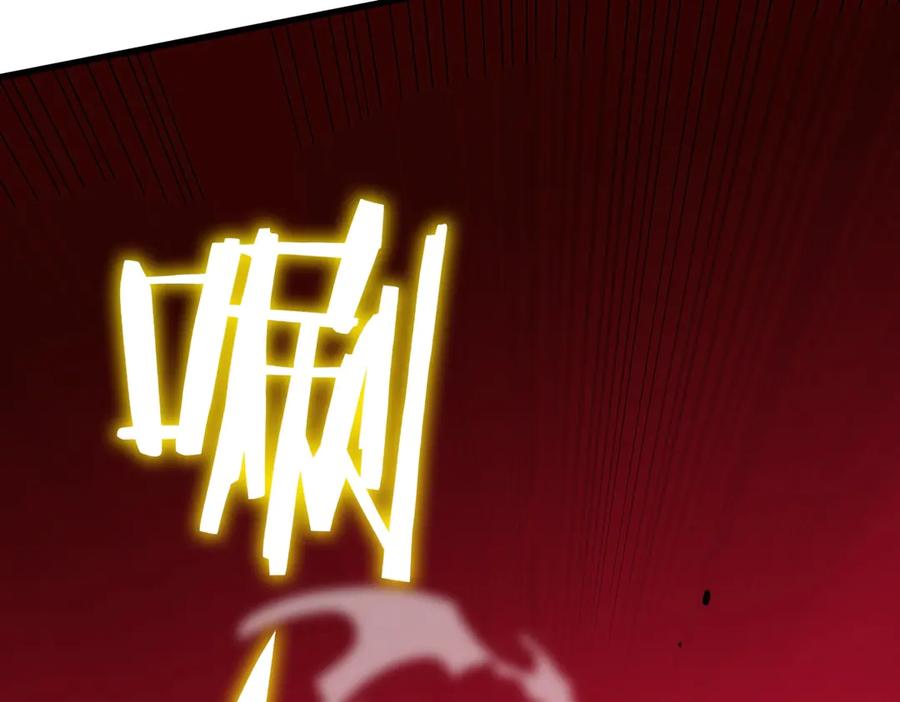 第223页