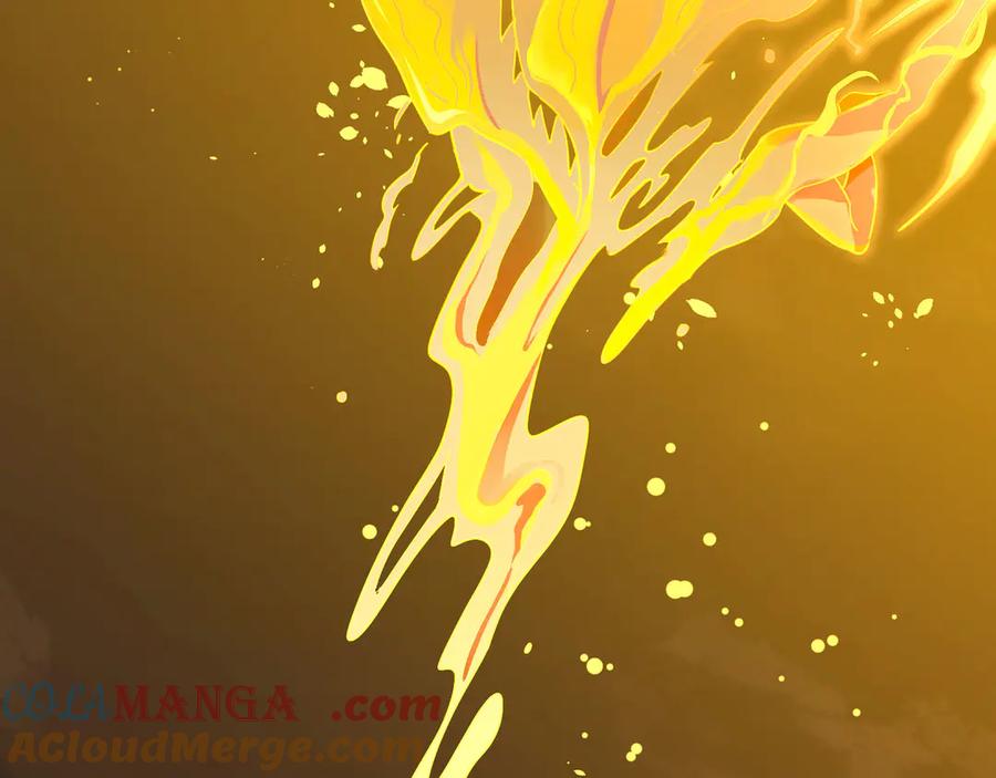 第209页