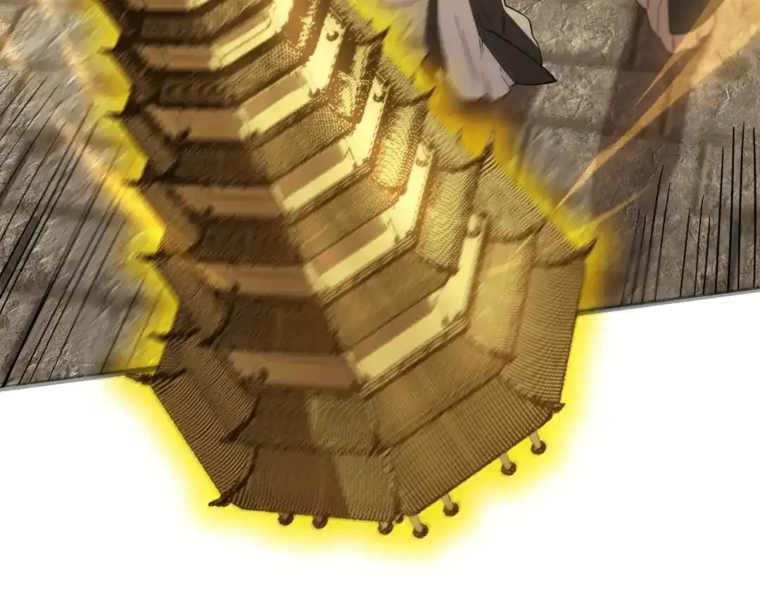 第231页