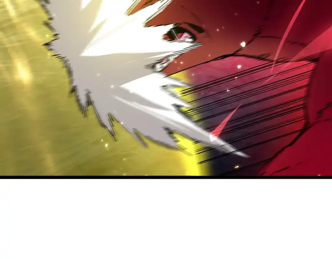 第455页