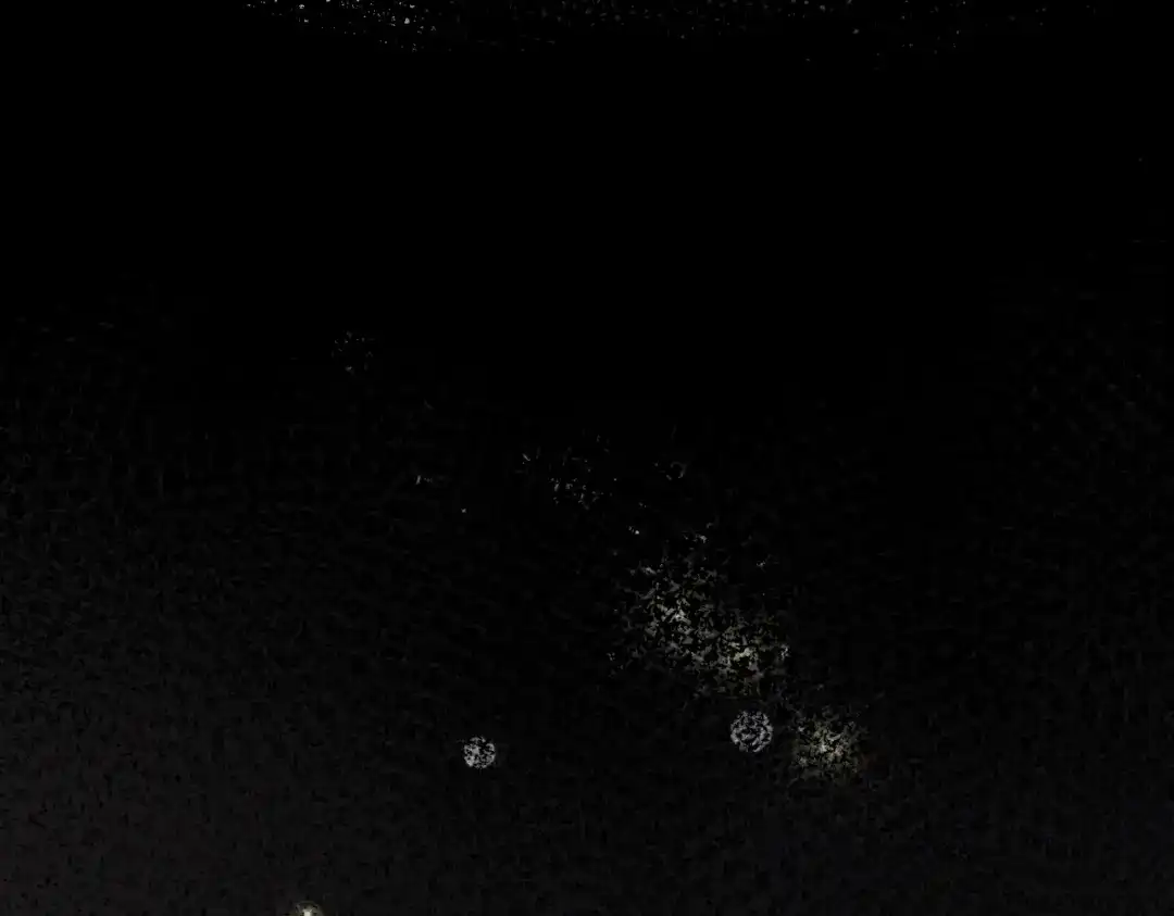 第795页
