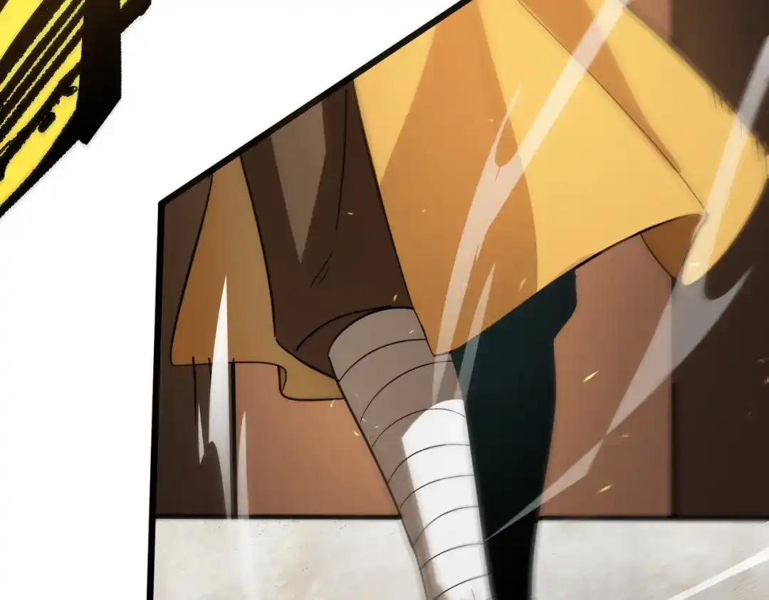 第229页